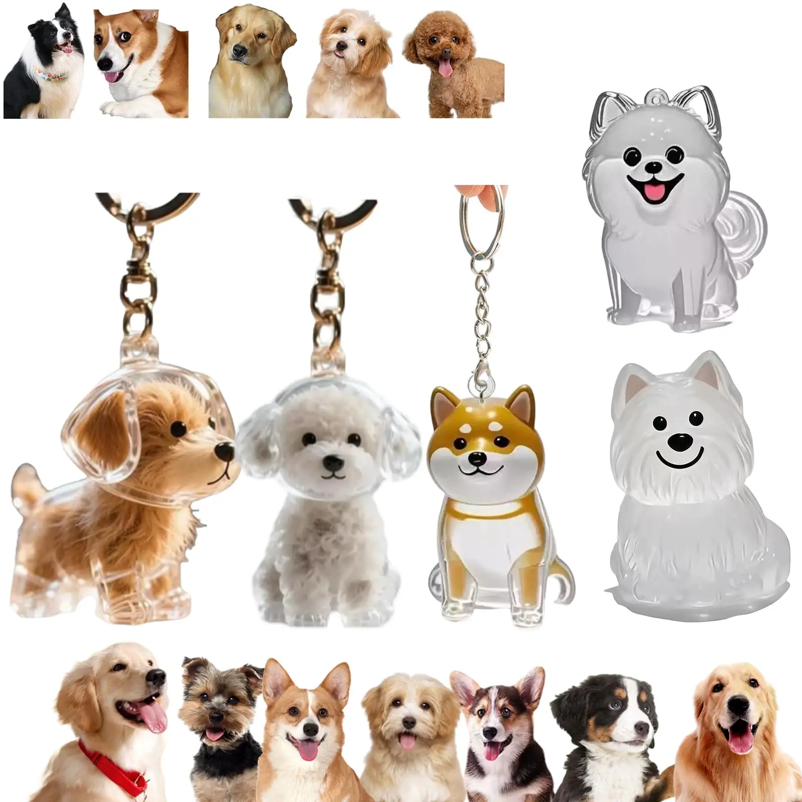 Pet Supplies Outlet - Transparante huisdierherdenkingshanger sleutelhanger Mooie hond kattenbont
