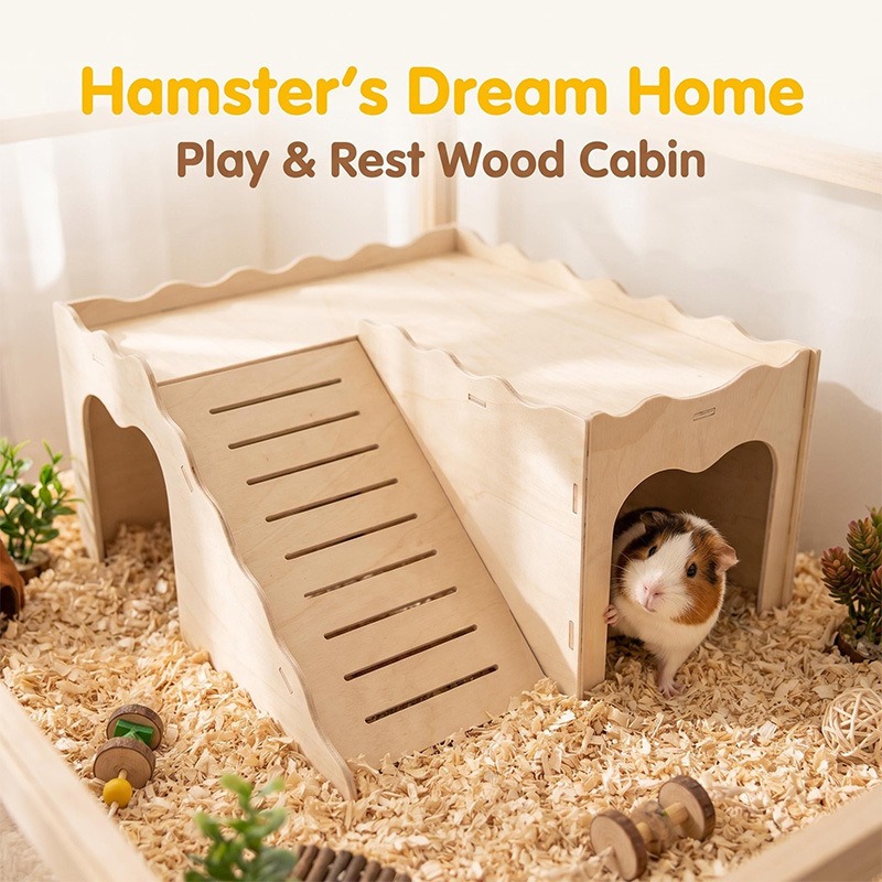 Pet Supplies Amazon - Amazon Hamster Houten Speelgoed Vermijdingsartikelen Gouden