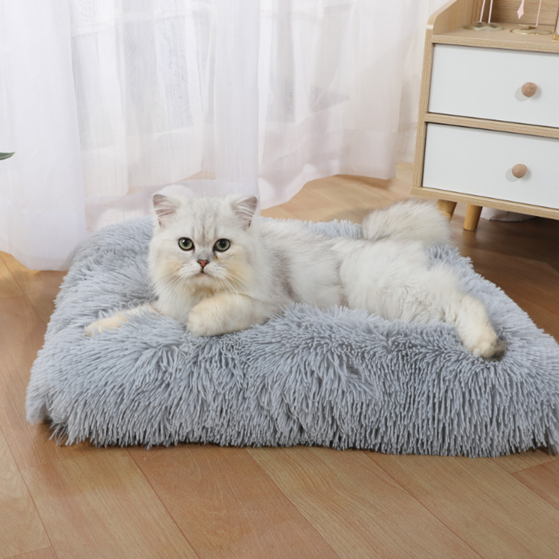 Pet Supplies Amazon - Hondenmat Amazon Nieuwe Hondenslaapmat Lange Pluche