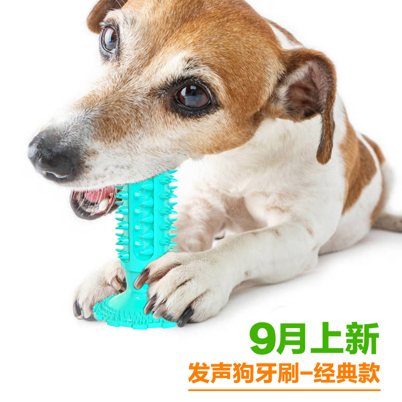 Hondenspeelgoed met zuignap, k - Pet Supplies Amazon recensie en prijs