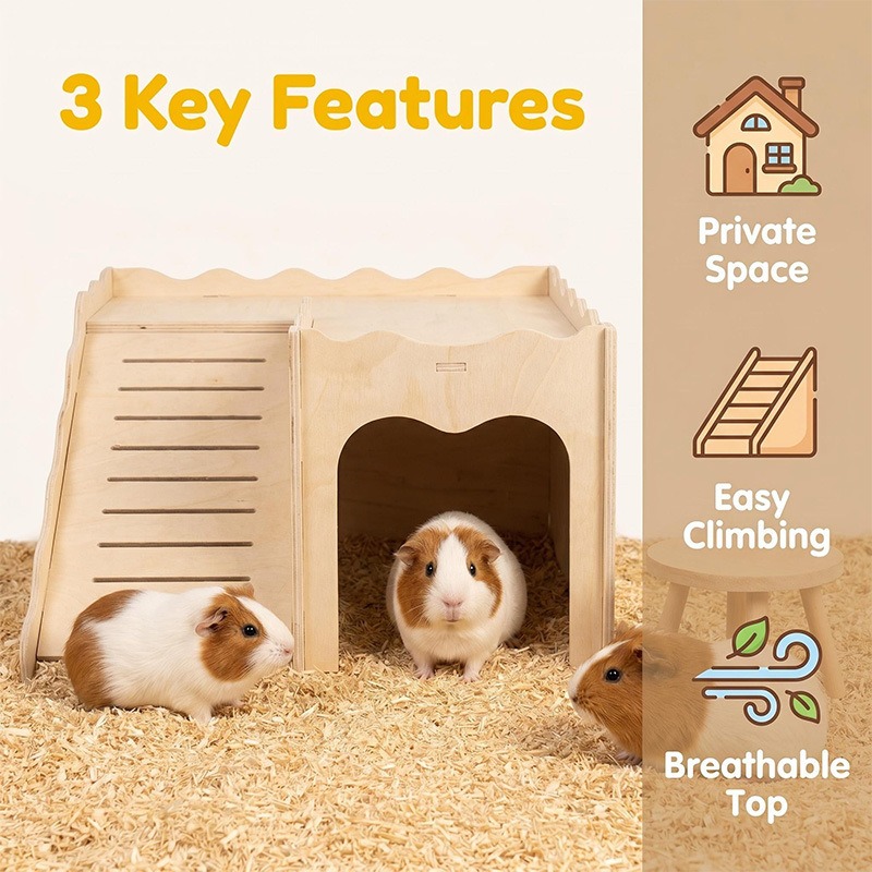 Amazon Hamster Houten Speelgoe - Pet Supplies Amazon recensie en prijs