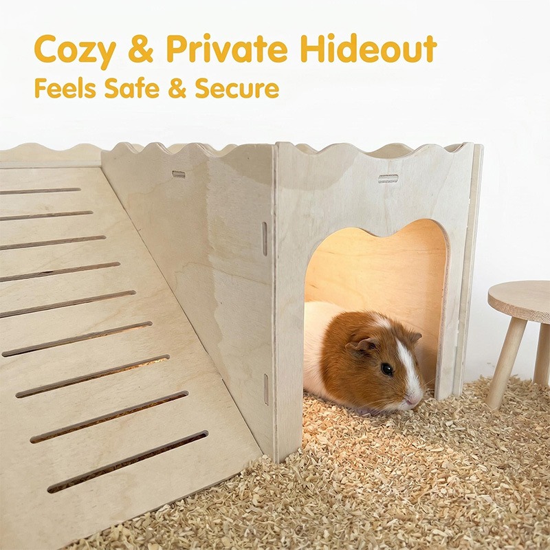 Amazon Hamster Houten Speelgoe - Pet Supplies Amazon recensie en prijs