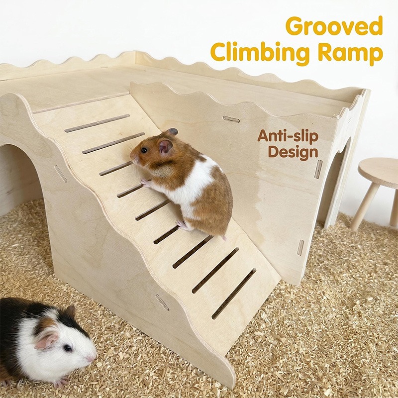 Amazon Hamster Houten Speelgoe - Pet Supplies Amazon recensie en prijs
