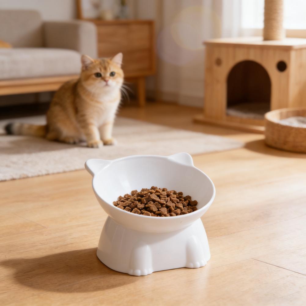Zwarte kattenbak Amazon kerami - Pet Supplies Amazon recensie en prijs