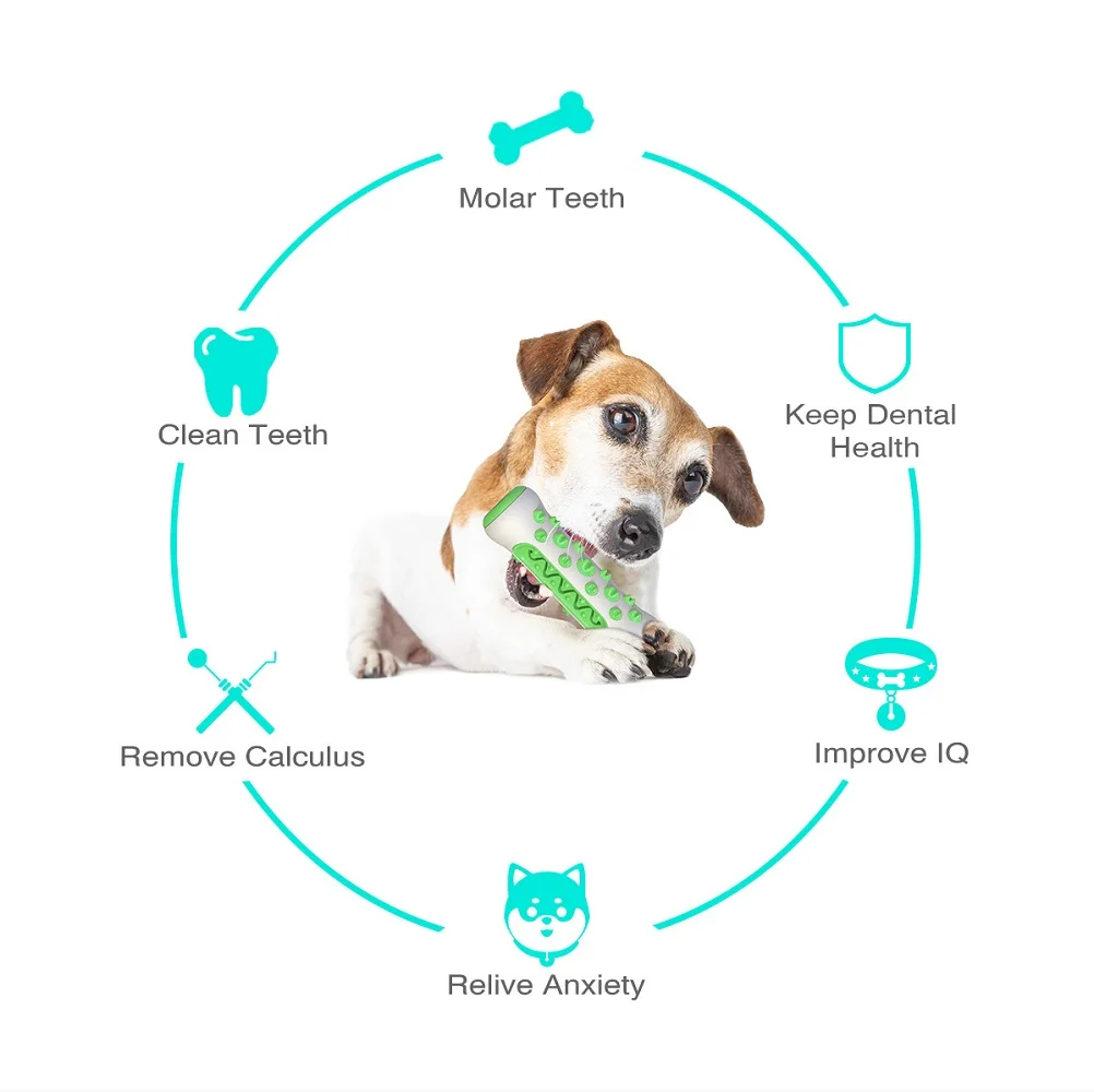Dierbenodigdheden Amazon Pop H - Pet Supplies Amazon recensie en prijs