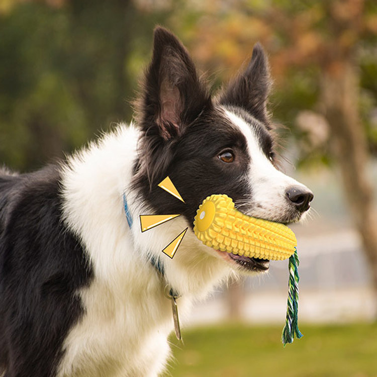 Piepende Corn Dog Tandenborste - Pet Supplies Amazon recensie en prijs