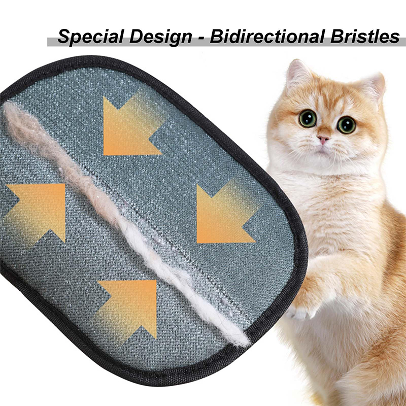 Nieuwe elektrostatische verzor - Pet Supplies Grooming recensie en prijs
