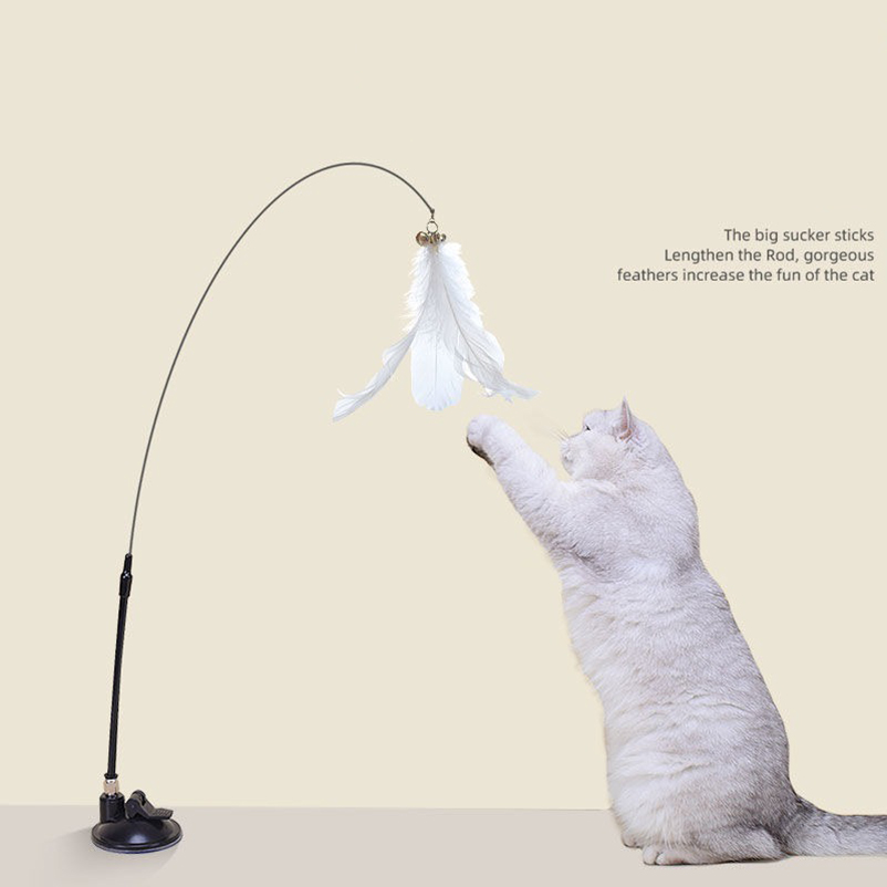 Nieuwe krachtige zuigkracht ka - Pet Supplies Amazon recensie en prijs