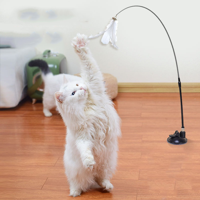 Nieuwe krachtige zuigkracht ka - Pet Supplies Amazon recensie en prijs