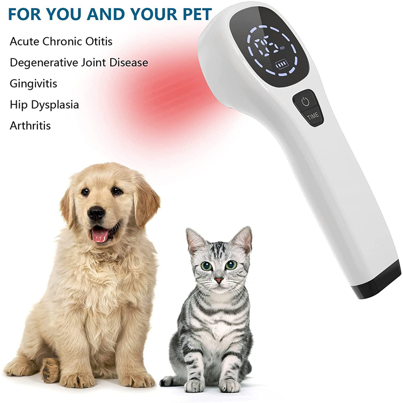 2x808nm Koude Laser Therapie A - Pet Supplies Outlet recensie en prijs